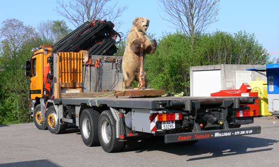 Transporte